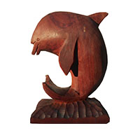 Vida Amazonas